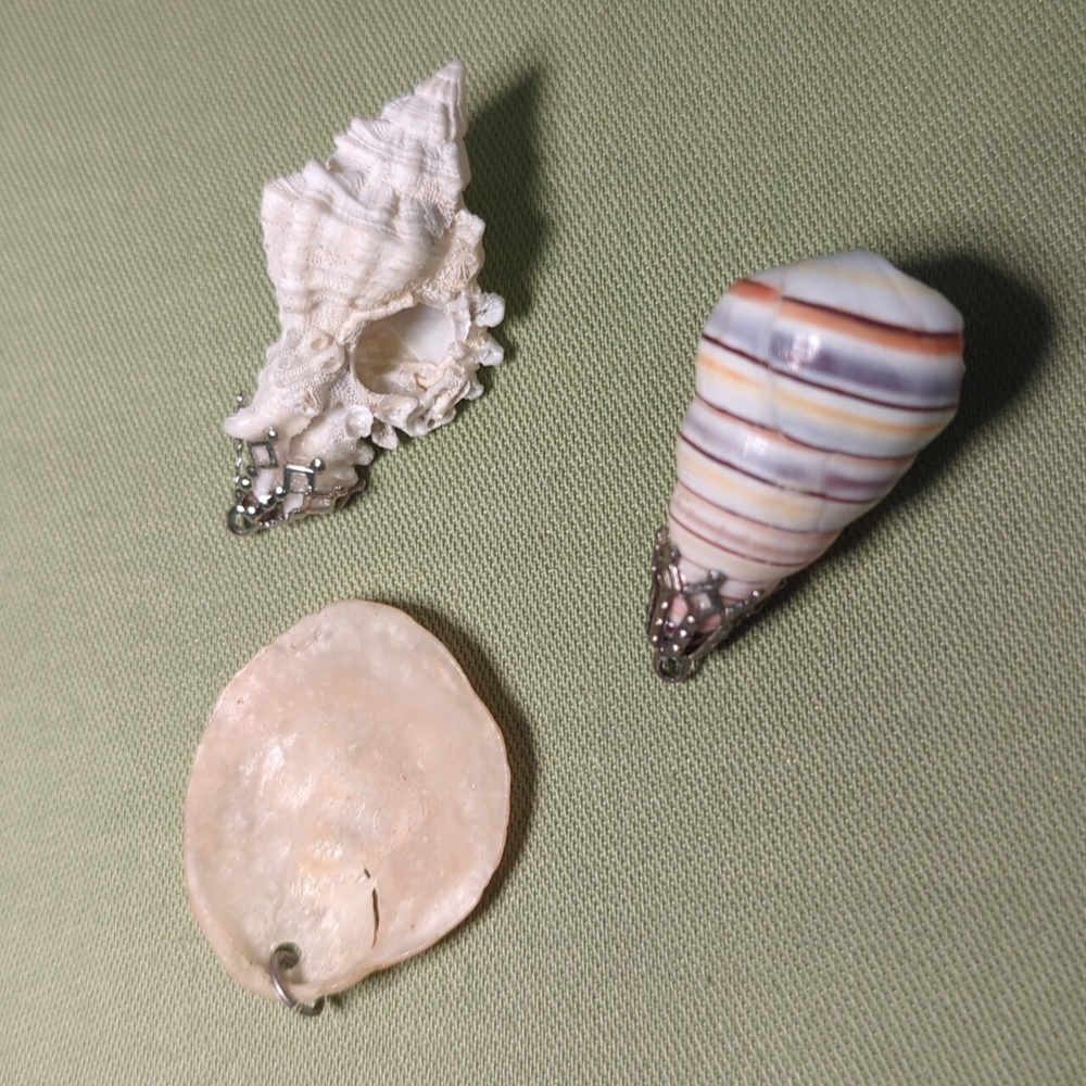 Three Genuine Seashell Pendants
